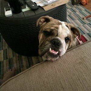 Meet your Posher, Sandi